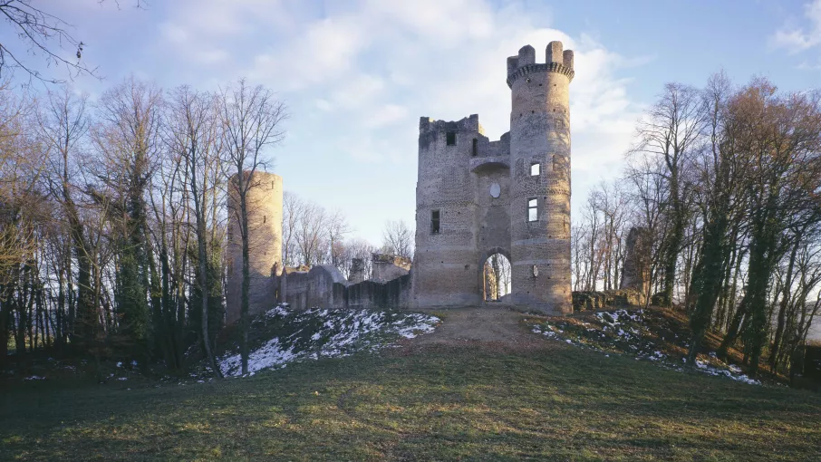 Château de Bressieux © F.Pattou